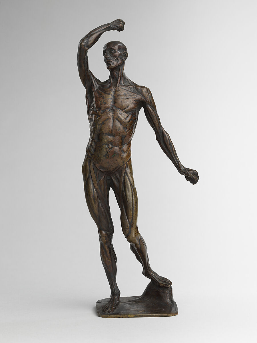 Ecorché, Michael Henry Spang Danish, Bronze, marble base, British
